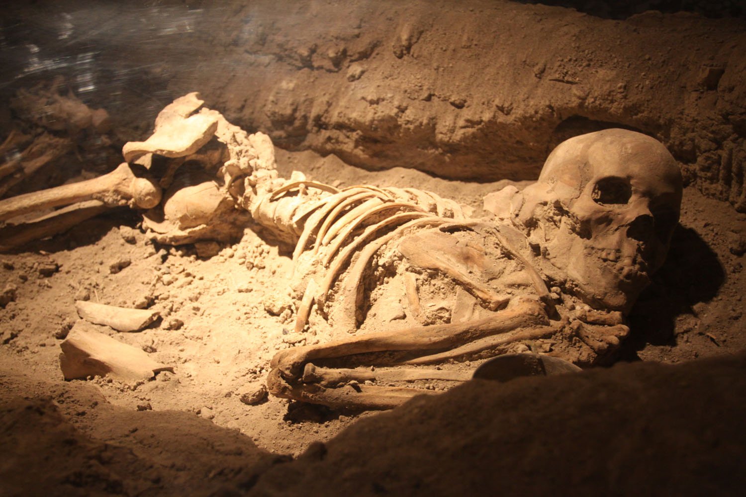 خواب ۴ هزار ساله زن سمنانی با جنینی در شکم